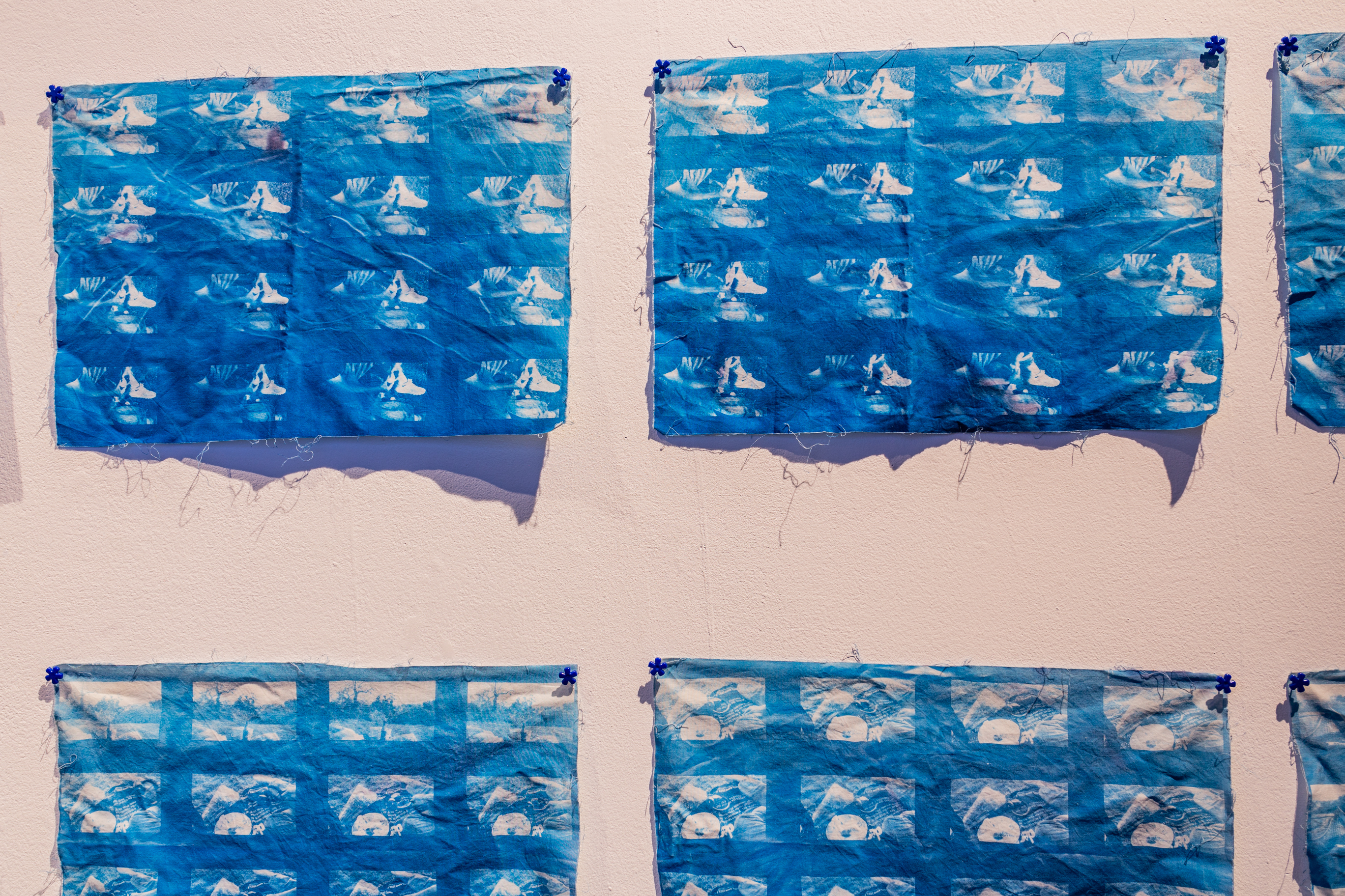 Multiple cyanotypes are printed and arranged in a grid on a white wall.